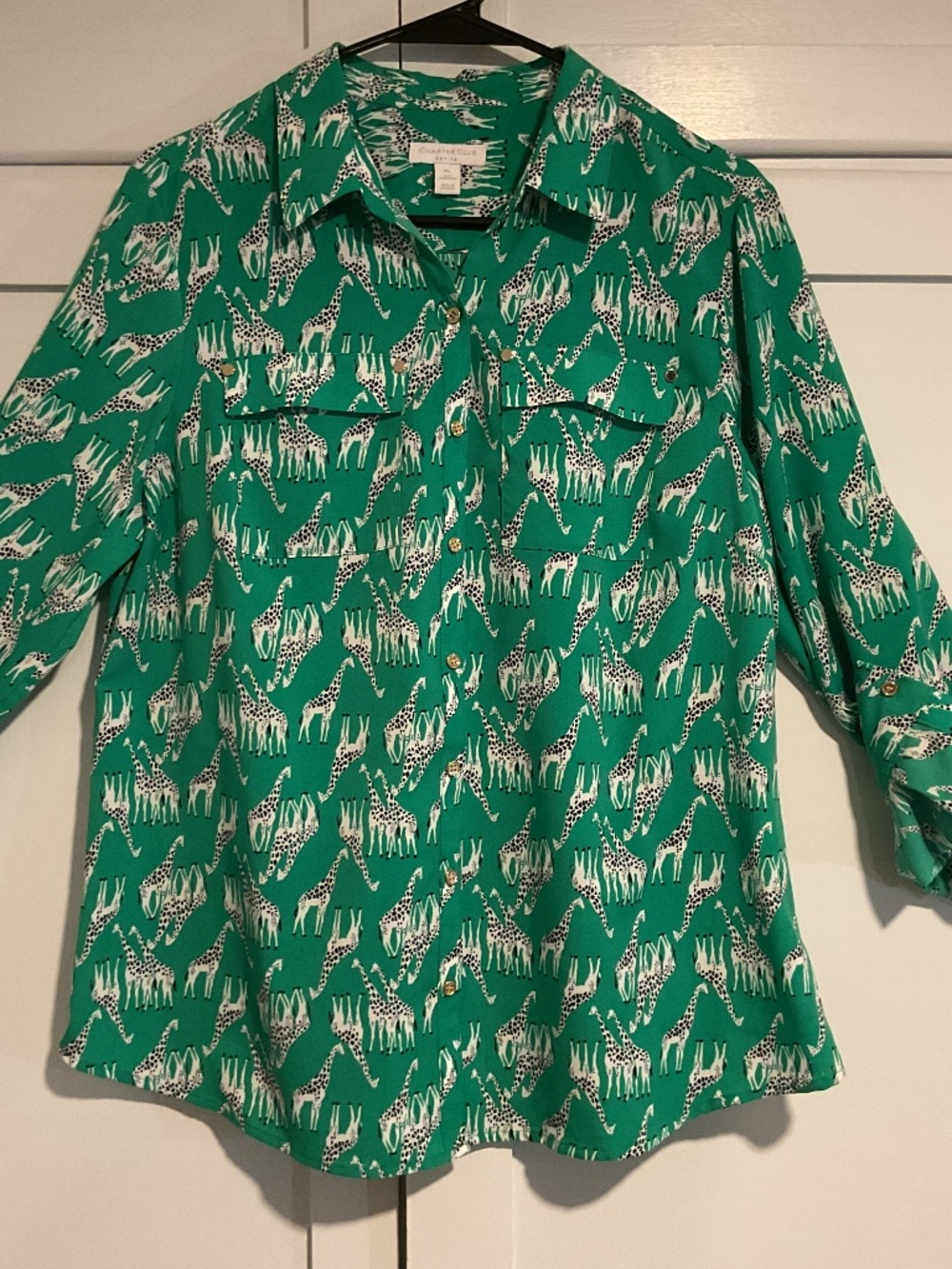 Charter Club Green Giraffe Themed Button Up Blouse Petite Large-EUC